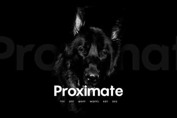 How Proximate Transformed My Brand’s Visual Identity