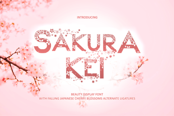 Sakura Kei Font for Bold Branding Projects